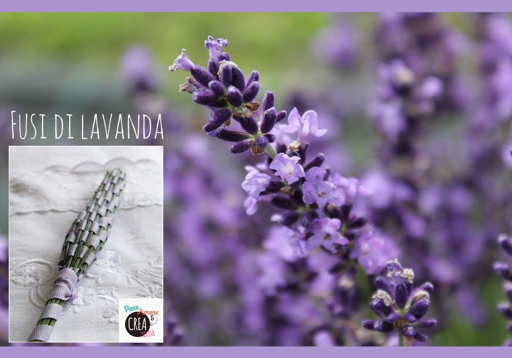 Come fare i fusi di lavanda