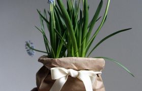 Come decorare e creare nuovi vasi - 5 idee fai da te